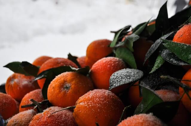 Nurturing the Winter Soil: Protecting Integrity and Ensuring Spring Vitality