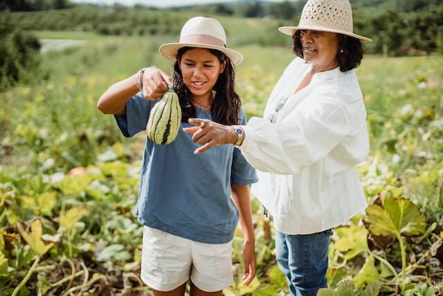 Sustainable Farming: A Beginner's Guide to Cultivating a Greener Future