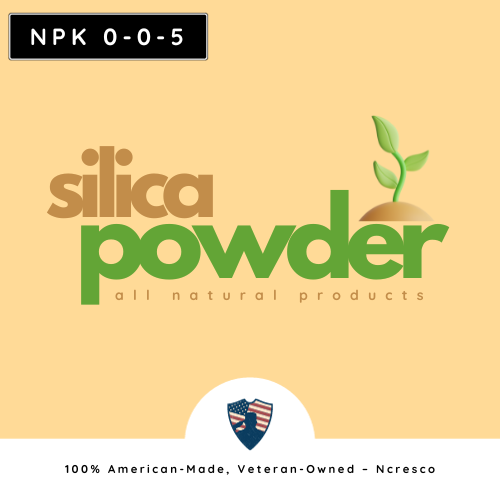 Silica Powder